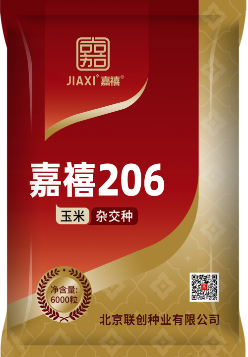 嘉禧206